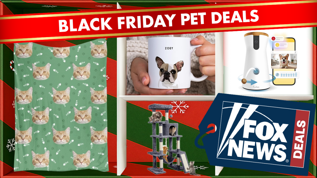 Pet owners and their animal companions will appreciate these Black Friday offers — litter boxes, adorable mugs, and more.
