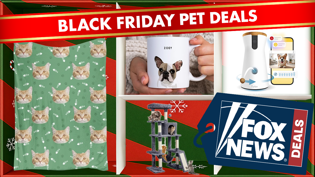 Pet owners and their animal companions will appreciate these Black Friday offers — litter boxes, adorable mugs, and more.