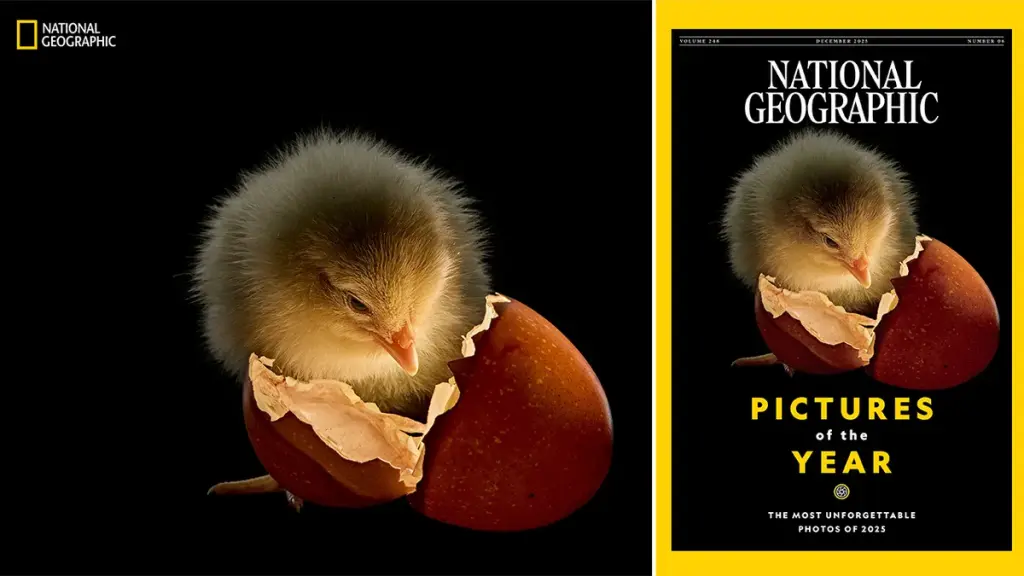 'Pictures of the Year' showcase a breathtaking encounter with a great white shark.