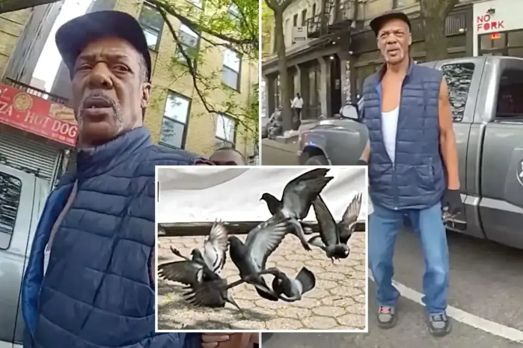 Pigeon thief charged with abducting 'New Yorkers' for sale as target practice is now at liberty.