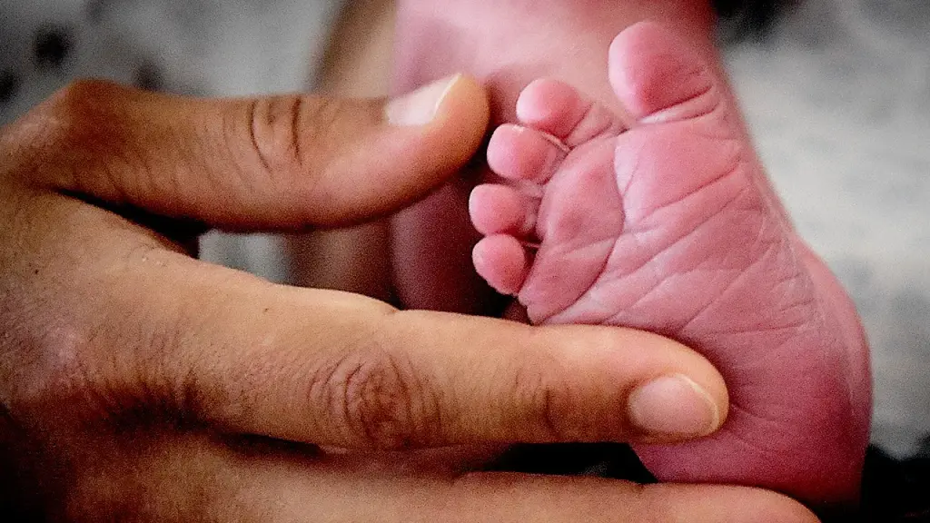 Pregnancy centers reach over 1 million clients for the first time in 2024, research finds