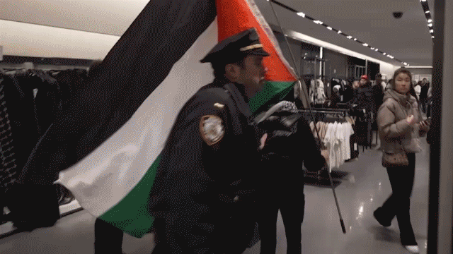 Pro-Palestinian demonstrators enter ZARA store on Black Friday, resulting in arrests.