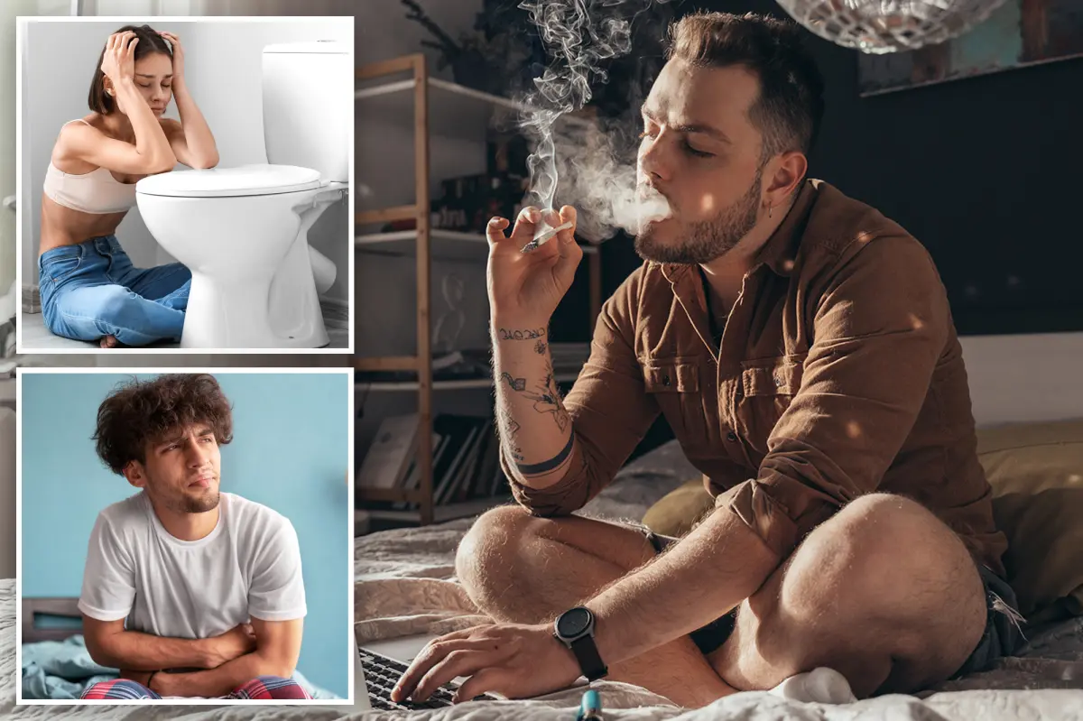 Regular marijuana users say 'scromiting' is more difficult than giving birth