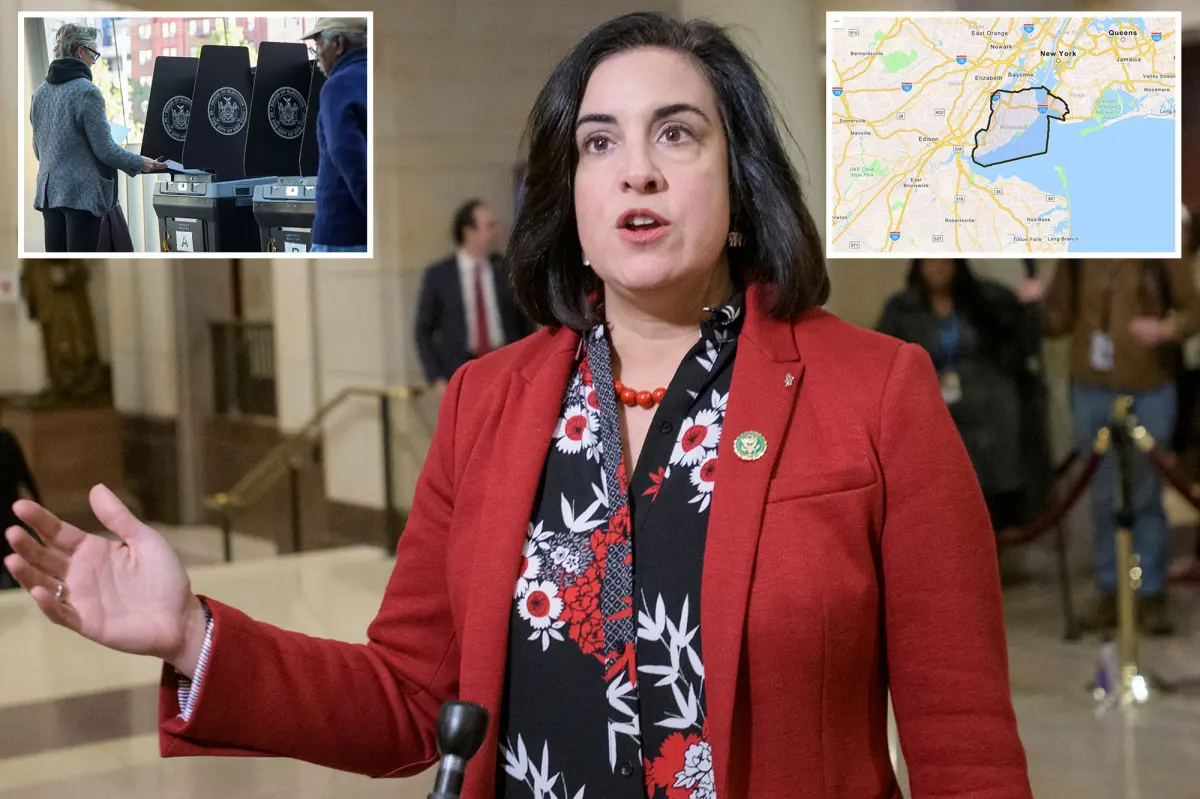 Rep. Nicole Malliotakis criticizes the gerrymandering lawsuit for the Staten Island House seat as an unreasonable attempt to seize power.