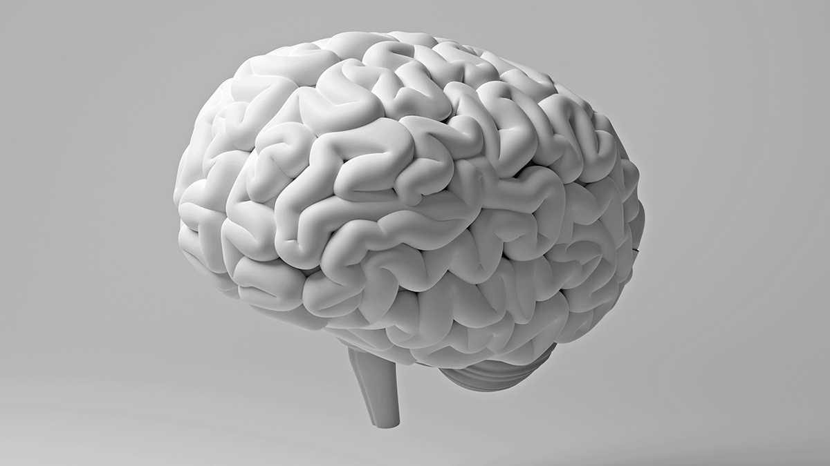 Research Connects Gum Disease to Brain White Matter Damage – Total News