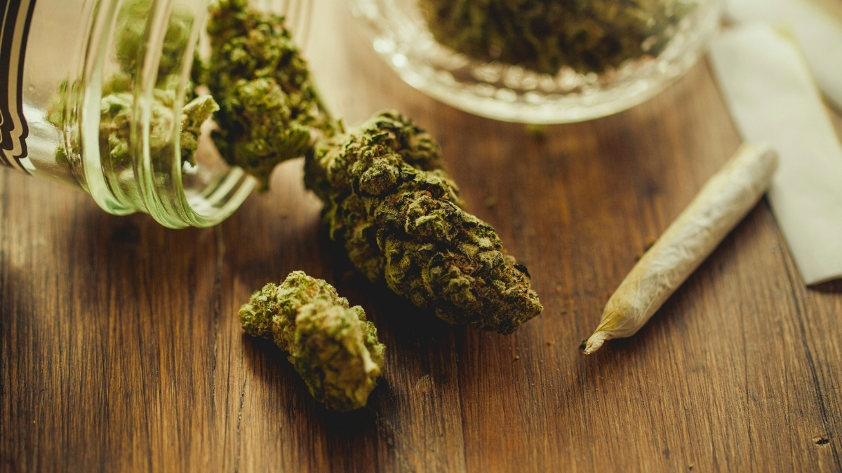 Researchers Found a Connection Between Cannabis Use and Epigenetic Changes