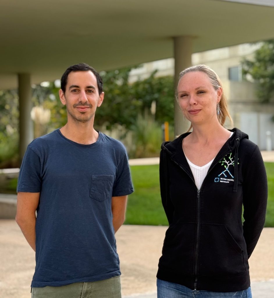 Researchers caution that dieting in middle age could be detrimental to brain health.