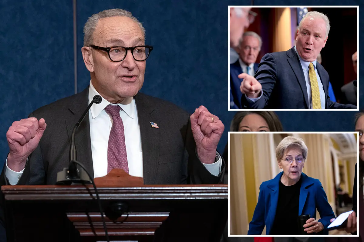 Senate Democrats' 'fight club' confronts Schumer regarding the 2026 primaries, yet a critic cautions about a 'major disaster'