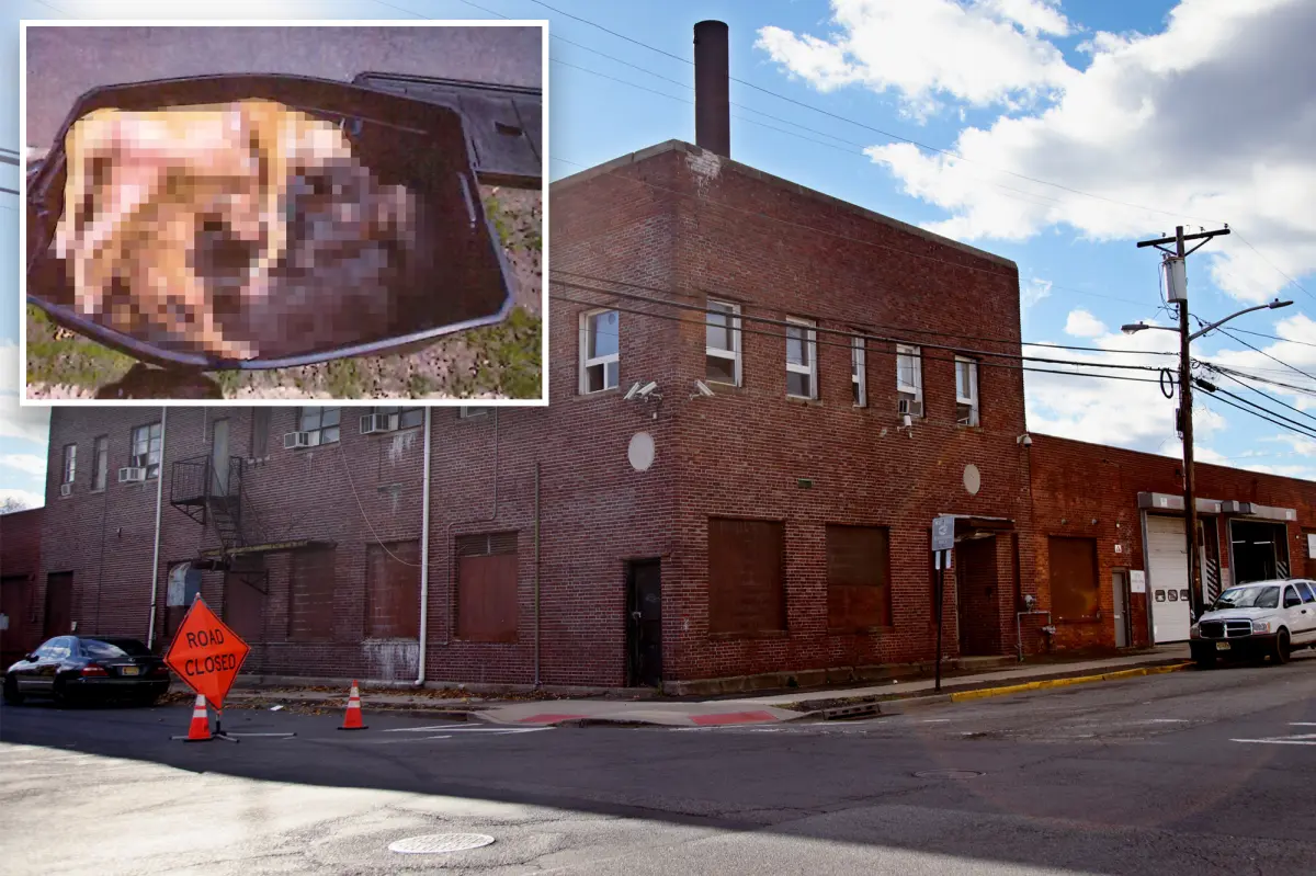 Seven dead dogs discovered on a street corner in NJ, yet no police investigation occurred.