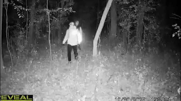 South American theft gangs believed to be involved in home break-ins in Wisconsin