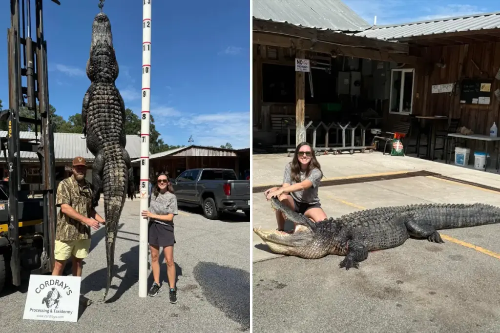 South Carolina mom on maternity leave catches 12-foot alligator that her family intends to make into a rug