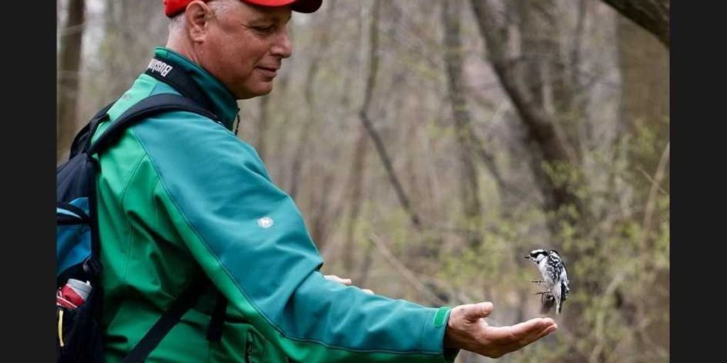 Step by step: The pastime helping countless exhausted Americans