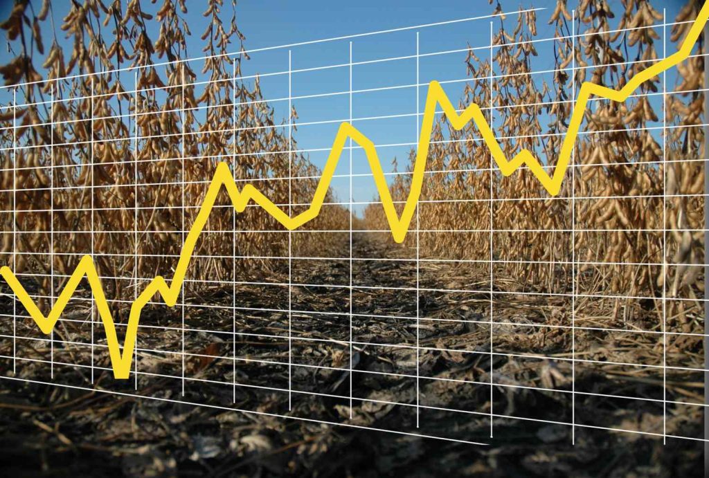 Strong Finish for Soybeans