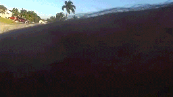 Teenager in Florida charged after attacking police car with a shovel, authorities say