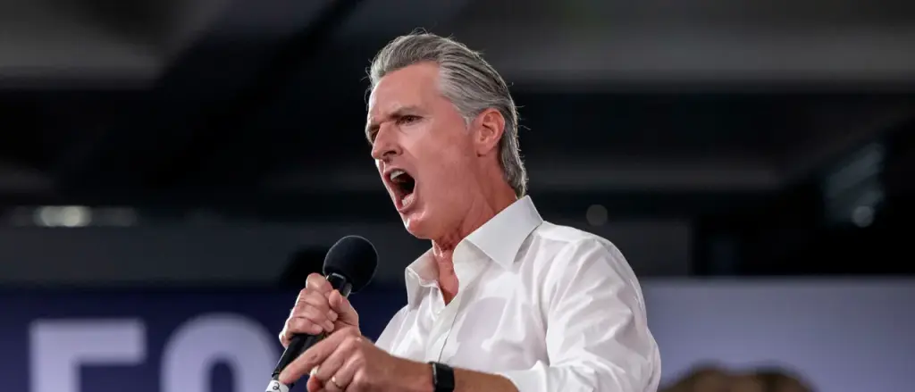 The Five Most Bizarre Laws Coming to California in 2026