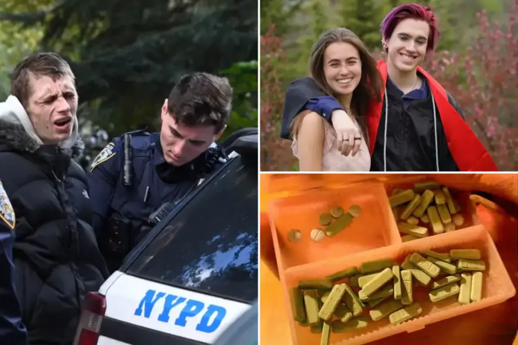 The transformation of Washington Square Park's drug activity from minor marijuana sellers to a gang conflict that led to the deaths of two celebrities' children