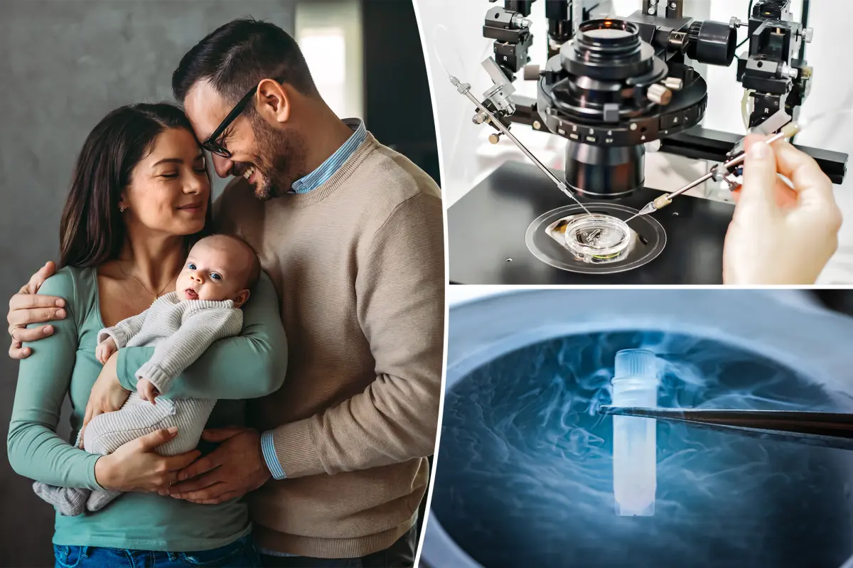 This AI-based tool forecasts IVF success with 90% accuracy.