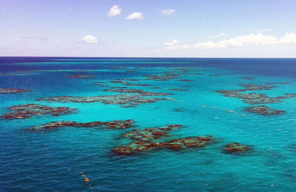 This is the only ocean on Earth that doesn't meet any land.