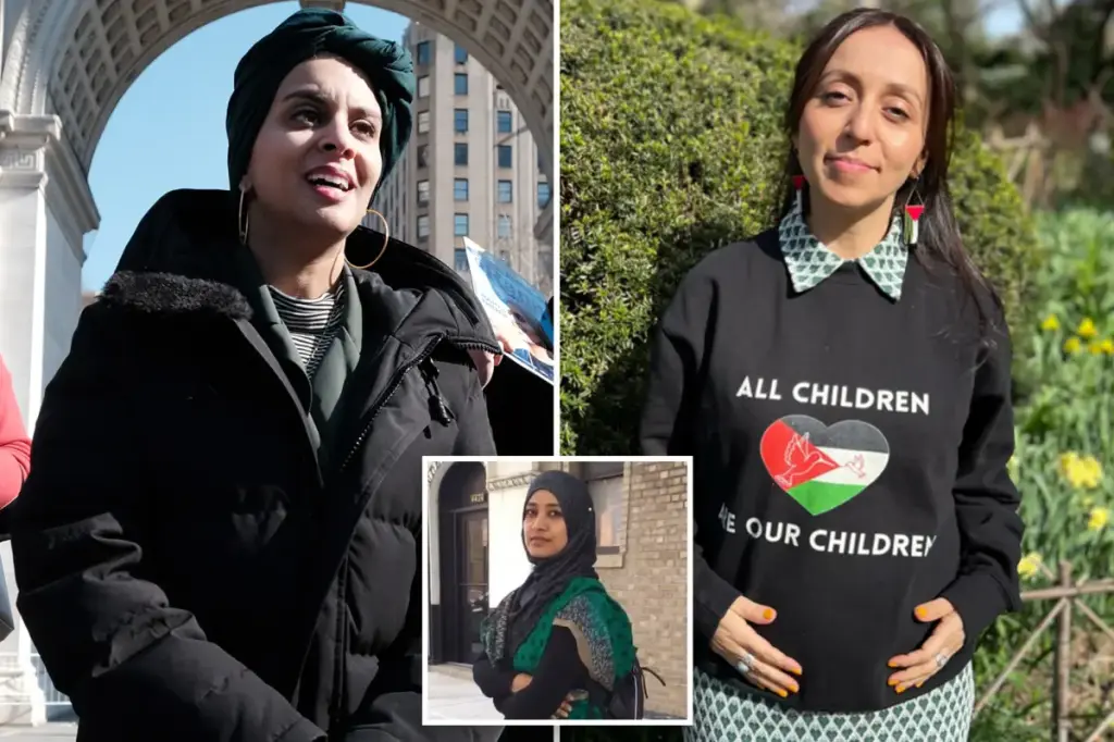 Three DSA members competing for Mamdani's Albany seat who are even more progressive than he is