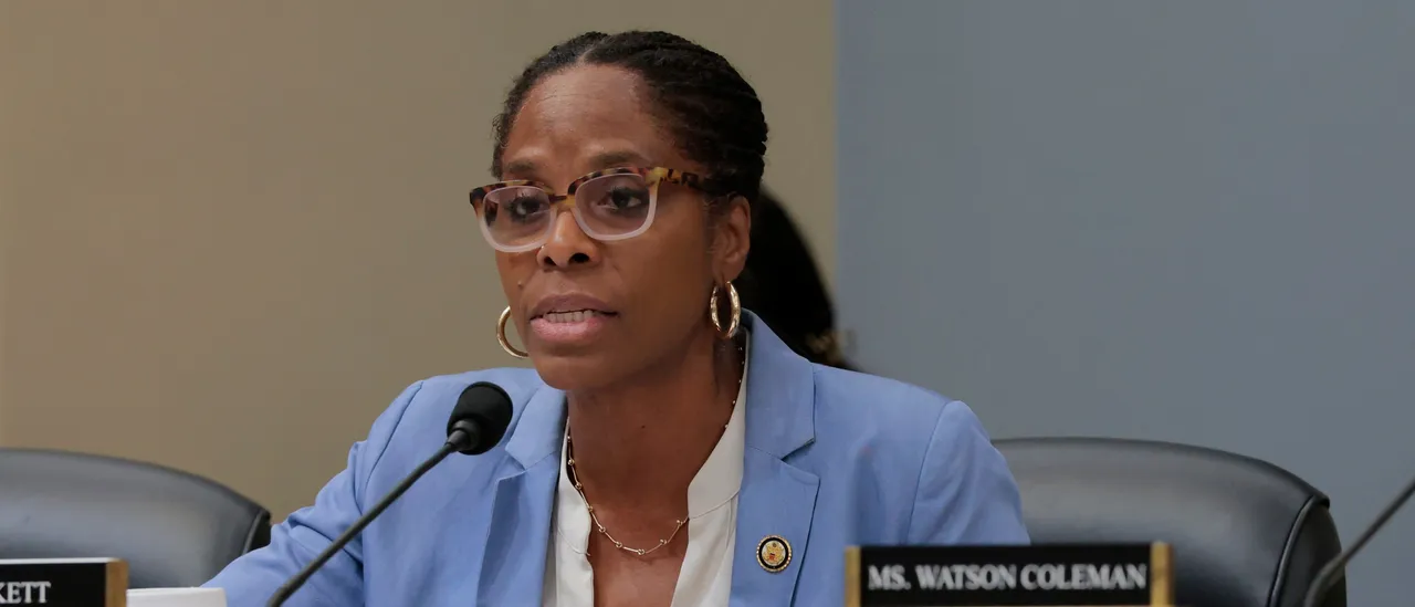 Three Republicans Hinder Move to Censure Democrat Associated with Jeffrey Epstein