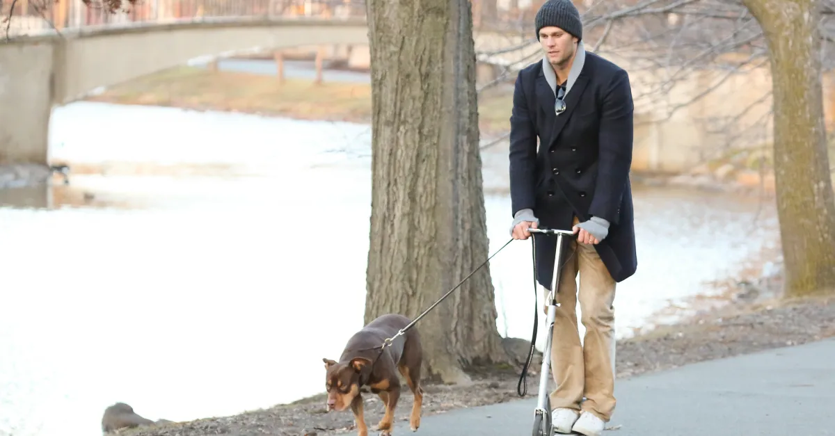 Tom Brady received his cloned dog from individuals attempting to resurrect the woolly mammoth.