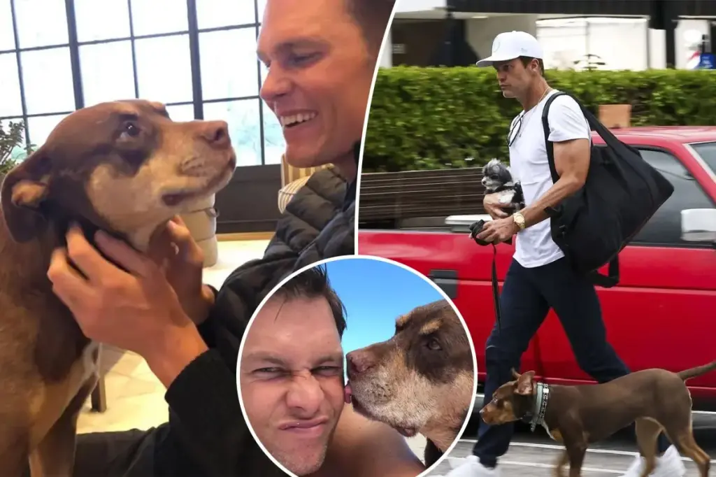Tom Brady shares that he cloned his deceased dog to have a new pet.