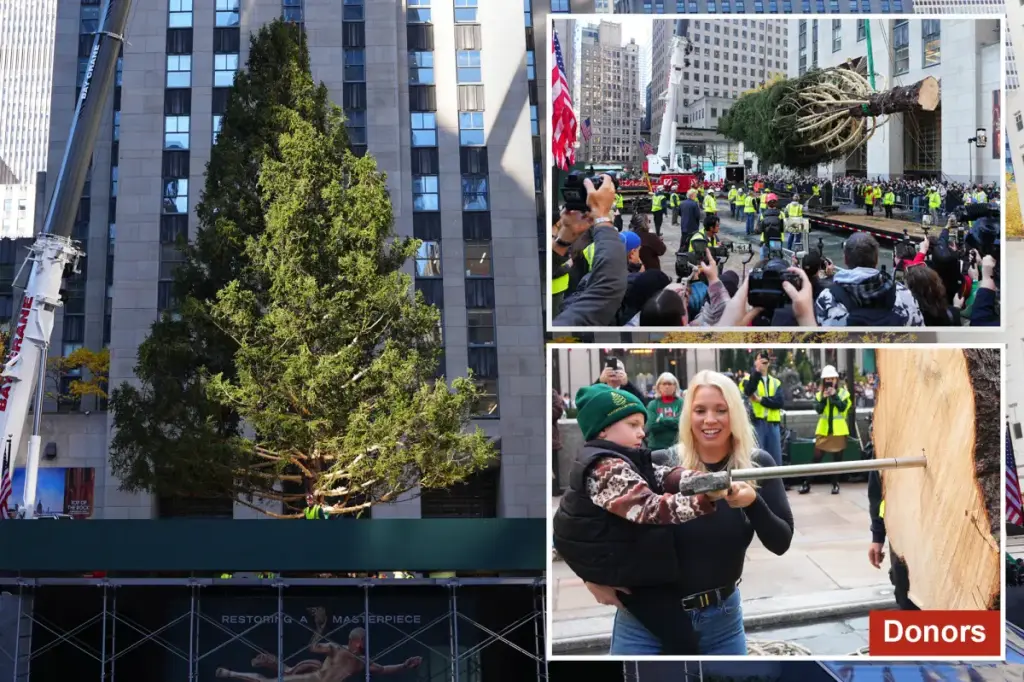 Tree raised at Rockefeller Center in NYC with onlookers: 'It's surreal'