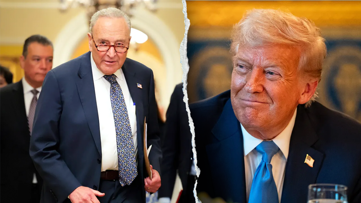 Trump claims Schumer 'erred' as some Democrats distance themselves from him