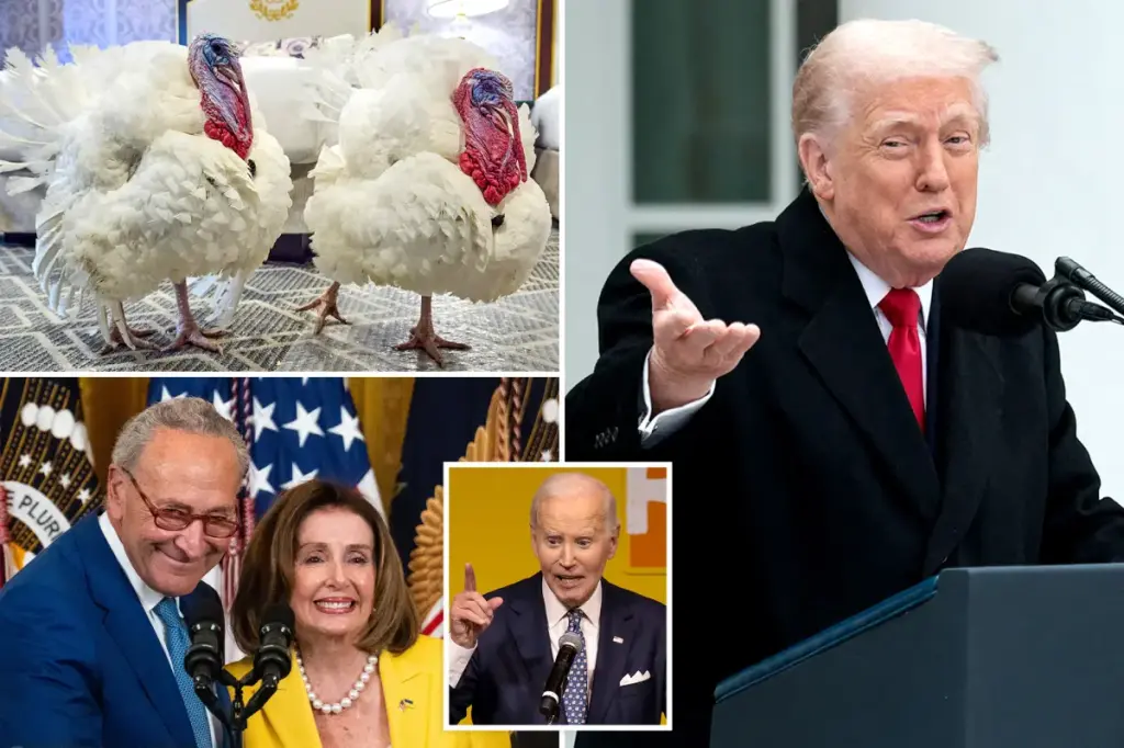 Trump re-grants pardons to Biden's turkeys, playfully suggesting he thought of calling this year's birds 'Chuck and Nancy'