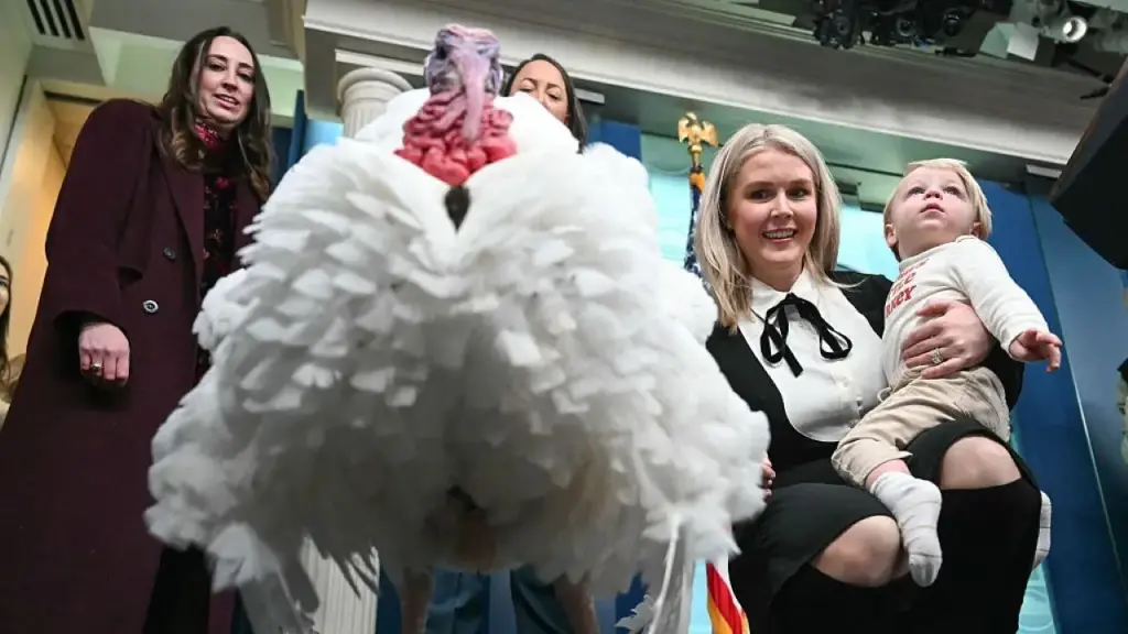 Trump to grant pardons to turkeys Waddle and Gobble at White House event