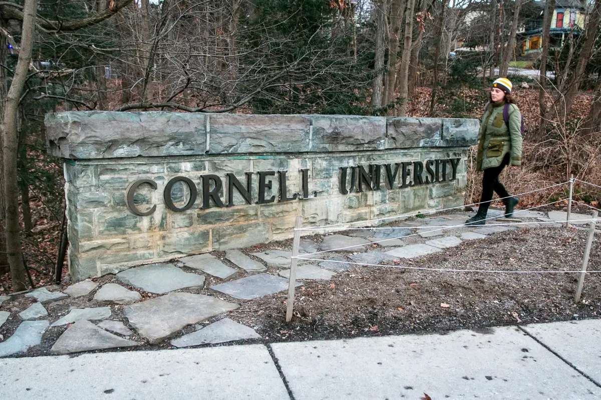 Trump's agreement with Cornell allows a 'zombie' DEI agenda to potentially resurface.