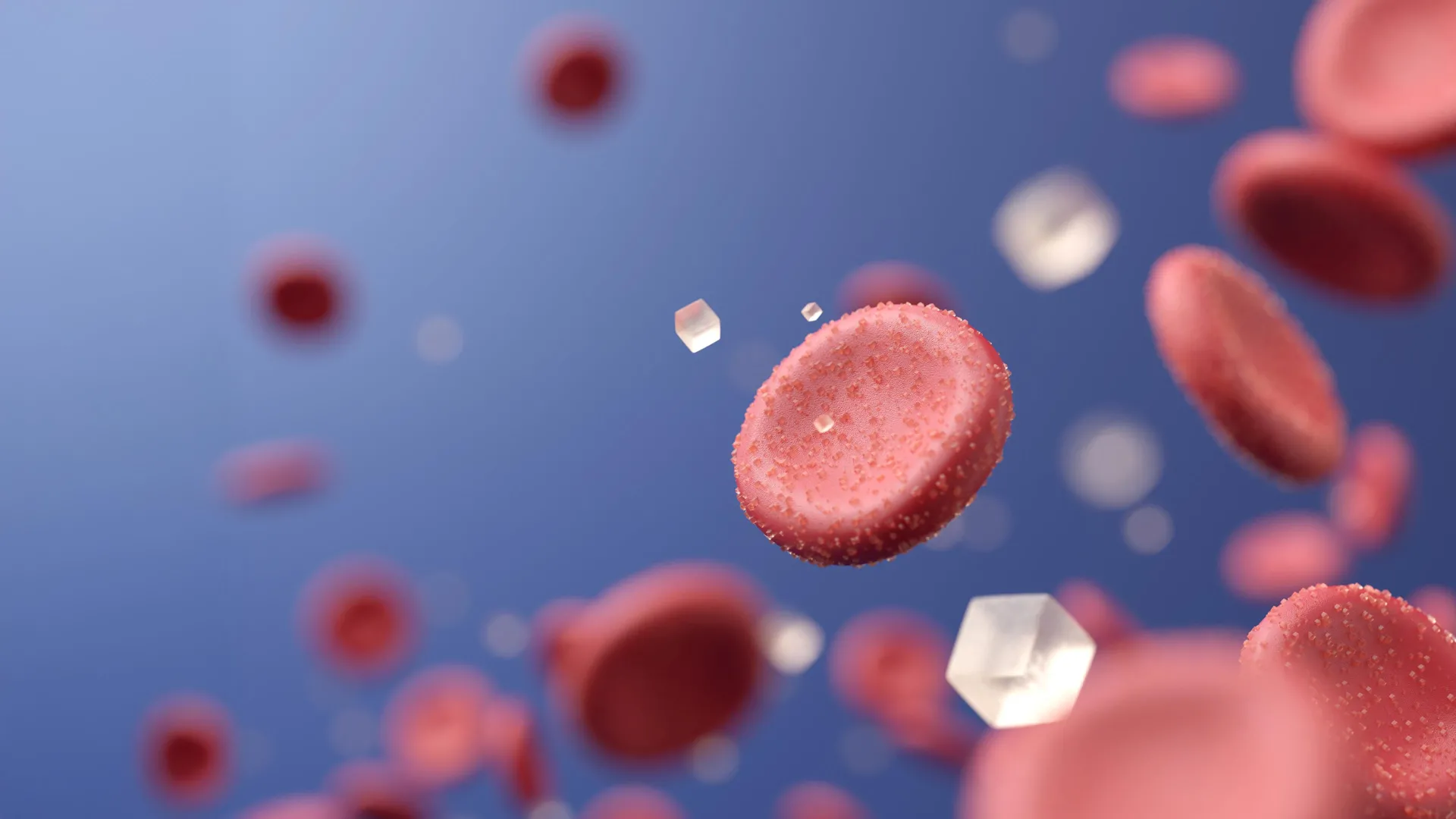 Uncommon desert berry may change diabetes care