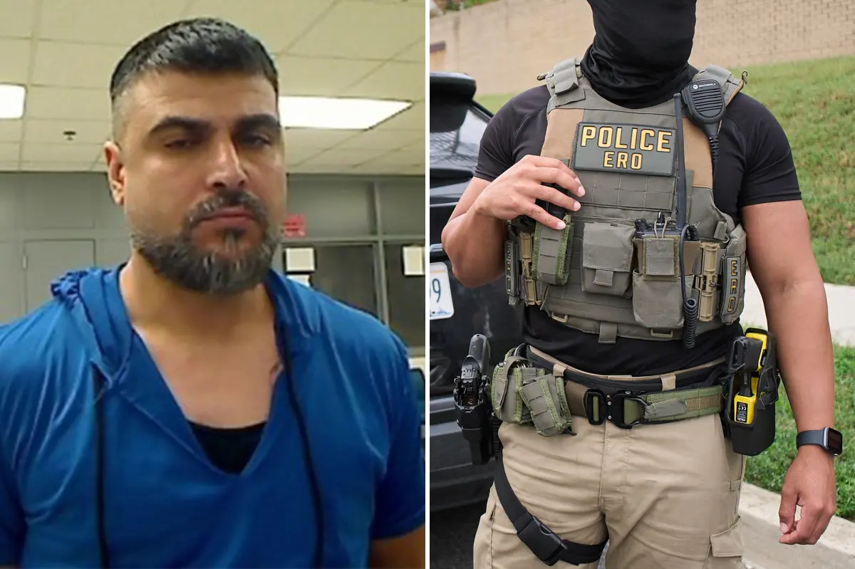 Undocumented immigrant charged with seizing ICE officer's taser while yelling 'Allahu akbar' during capture