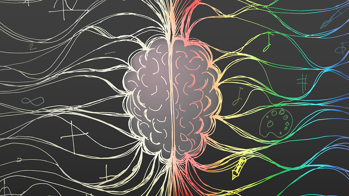 Unexpected Connection Between Your Brain and Gut Rhythms