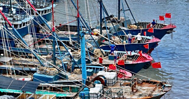 Unlawful Chinese Fishing Resulting in $800 Million in Losses in Peru
