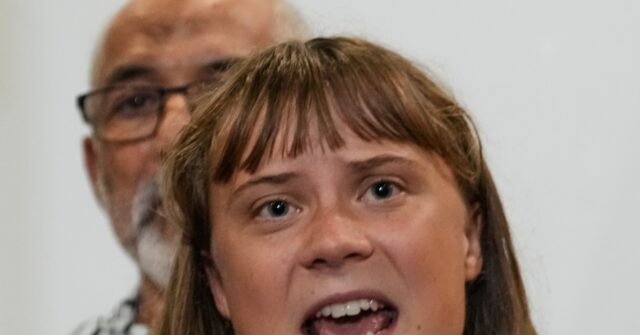 Venice Imposes 48-Hour Ban on Greta Thunberg for Pouring Green Dye into Grand Canal