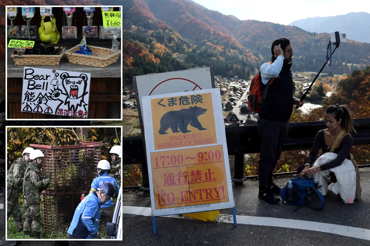 Village in Japan works to keep bears away from tourists