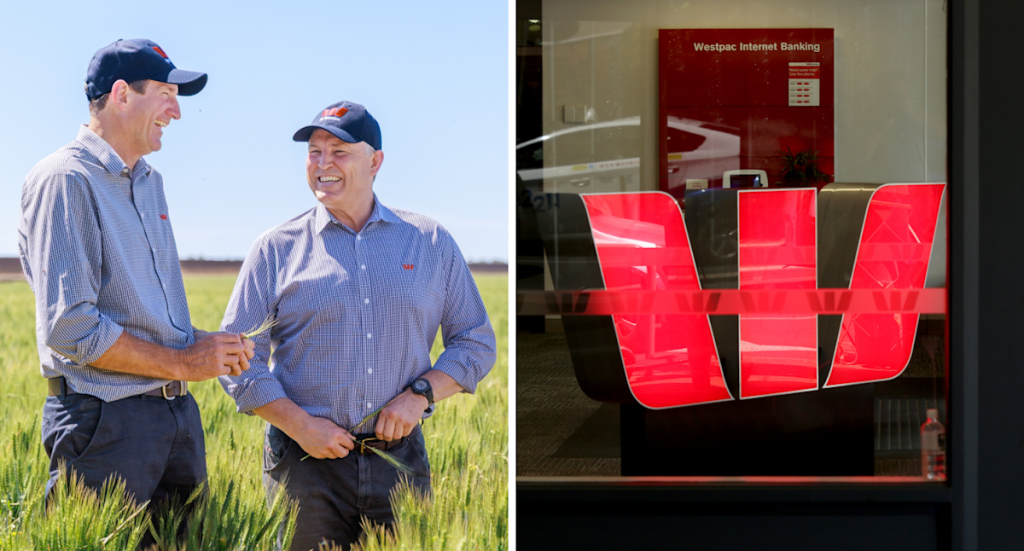 Westpac commits to maintaining bank branches until 2030 while testing a new partnership with Australian councils starting next year