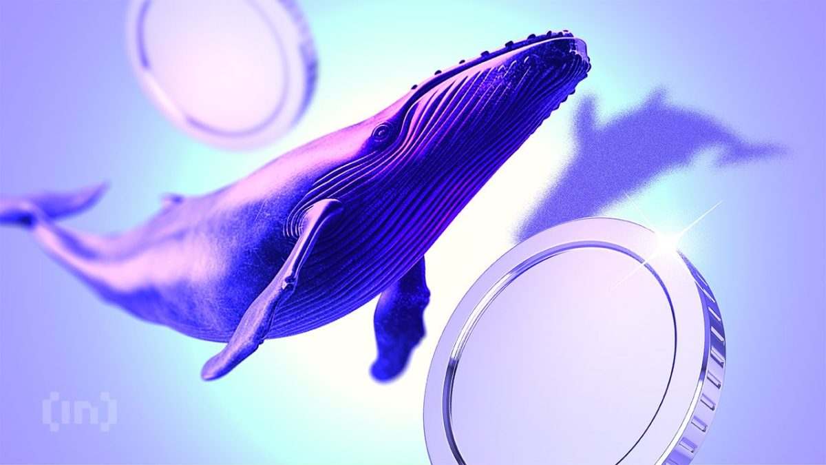 What Large Crypto Investors Are Purchasing for Possible Profits in December 2025