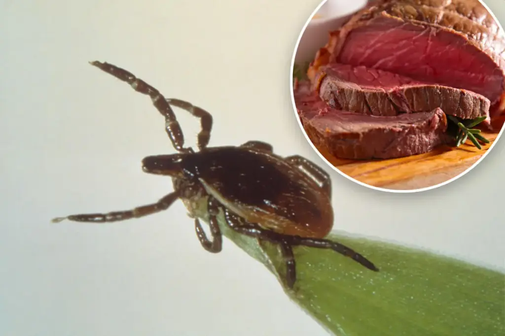 What is alpha-gal syndrome? Emerging worry about meat allergy from tick bites