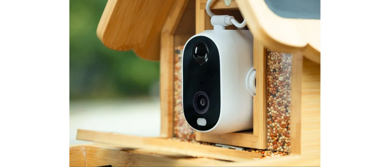 When a Bird Arrives, DETIKO Pays Attention