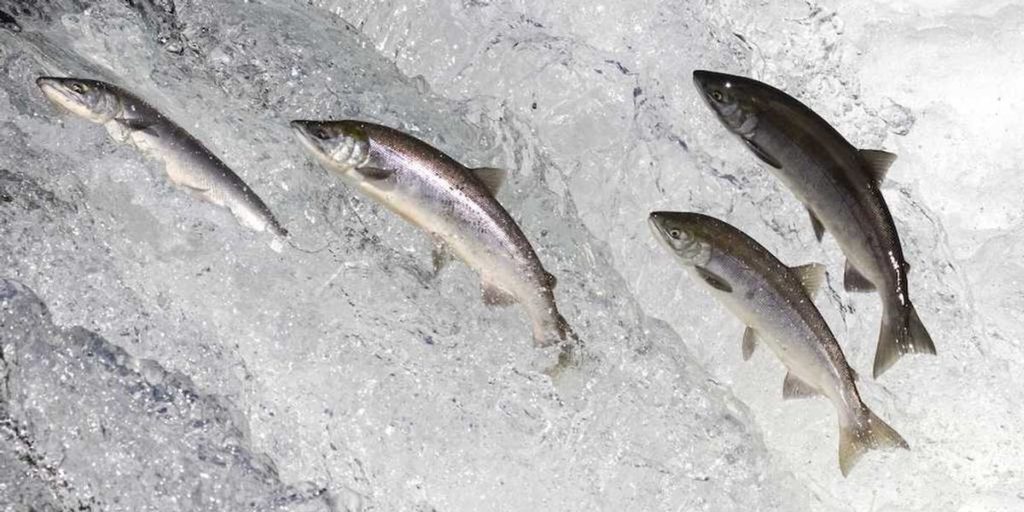 When the church consumes from below, belief weakens