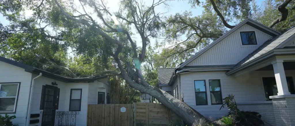 Woman Helped Neighbor with Bills for Years, Didn't Think Twice Due to Living Expenses