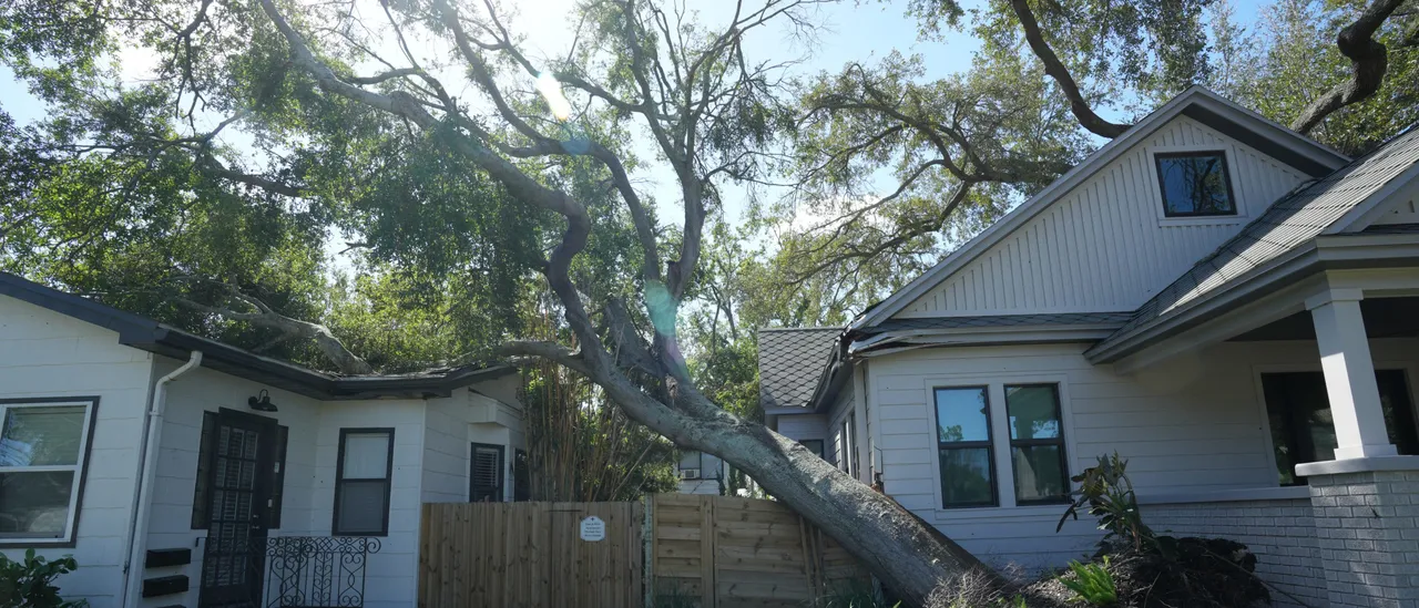 Woman Helped Neighbor with Bills for Years, Didn't Think Twice Due to Living Expenses