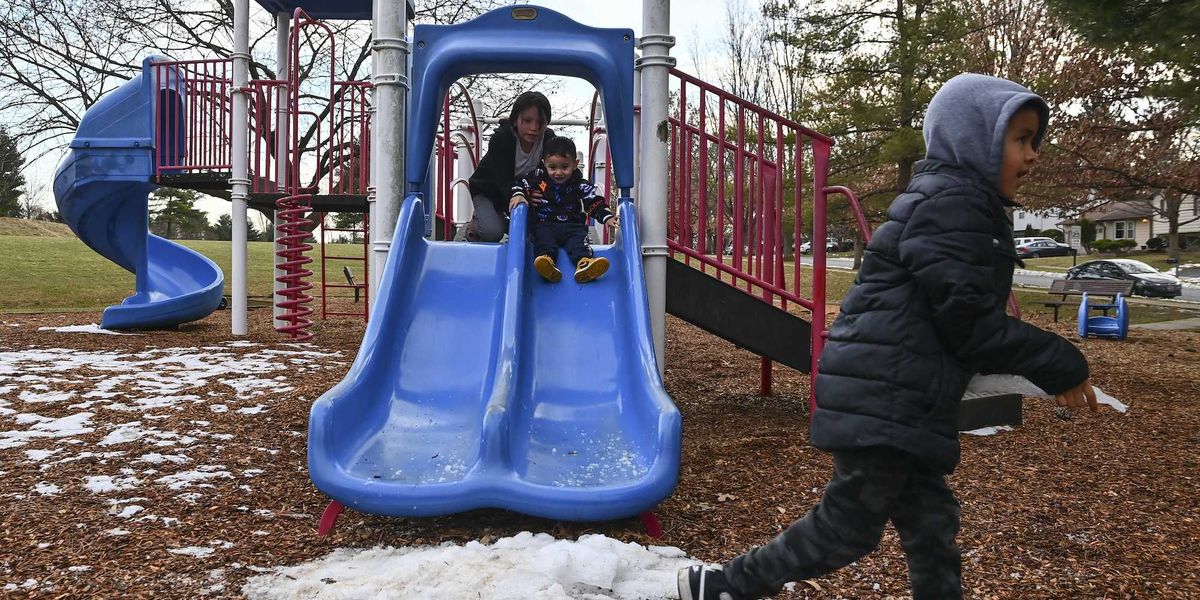 Woman could face jail for bringing aggressive dog to playground where it attacked boy for 2 minutes