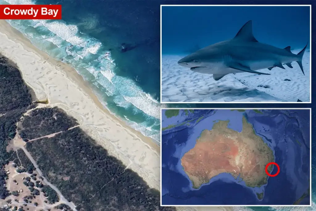 Woman dies from shark attack at Crowdy Bay National Park
