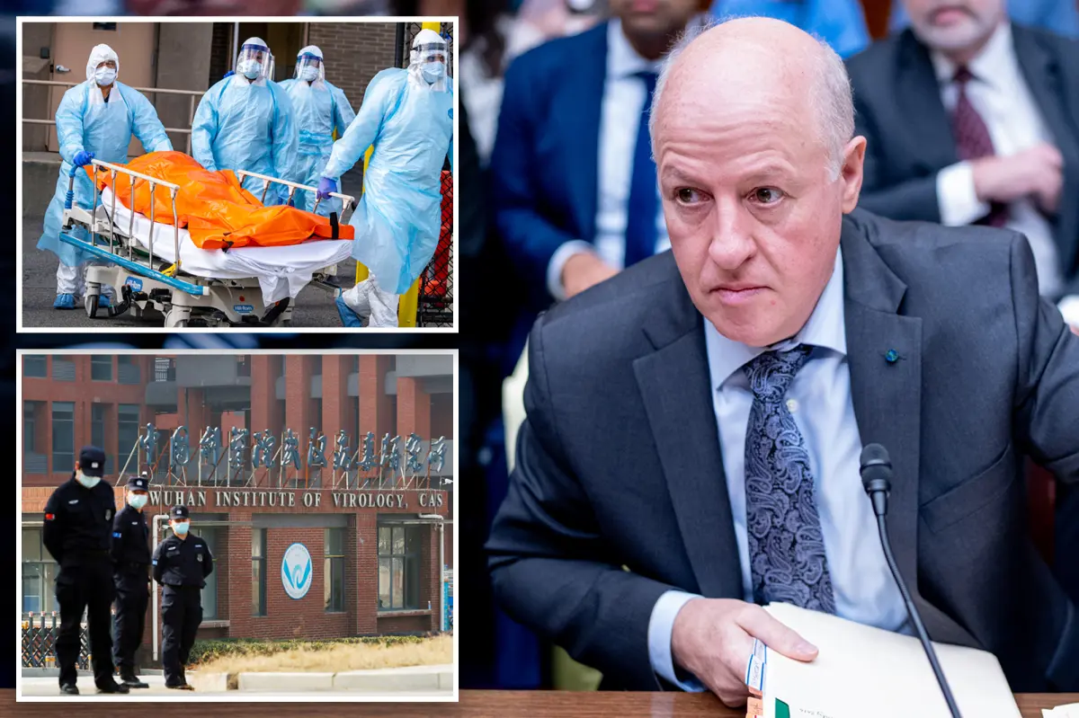 Wuhan doctor and former EcoHealth Alliance president claim they are 'jobless' and 'struggling': lawsuit