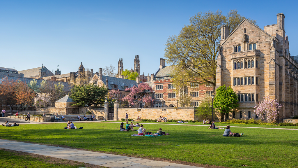 Yale removes fraudulent student, highlighting issues of academic dishonesty and safety.