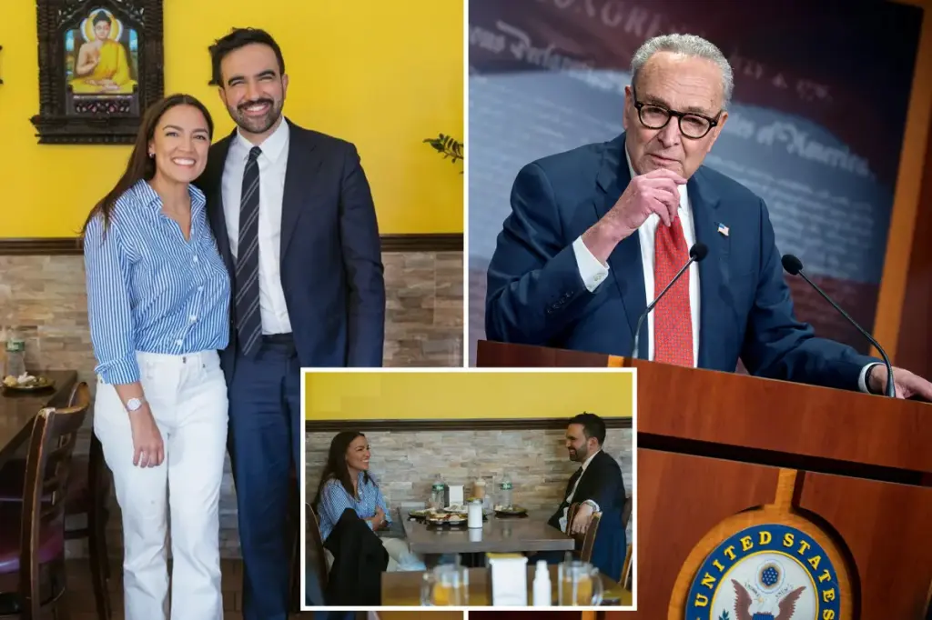 Zohran Mamdani avoids stating whether Chuck Schumer should be challenged in the election while having lunch with AOC.