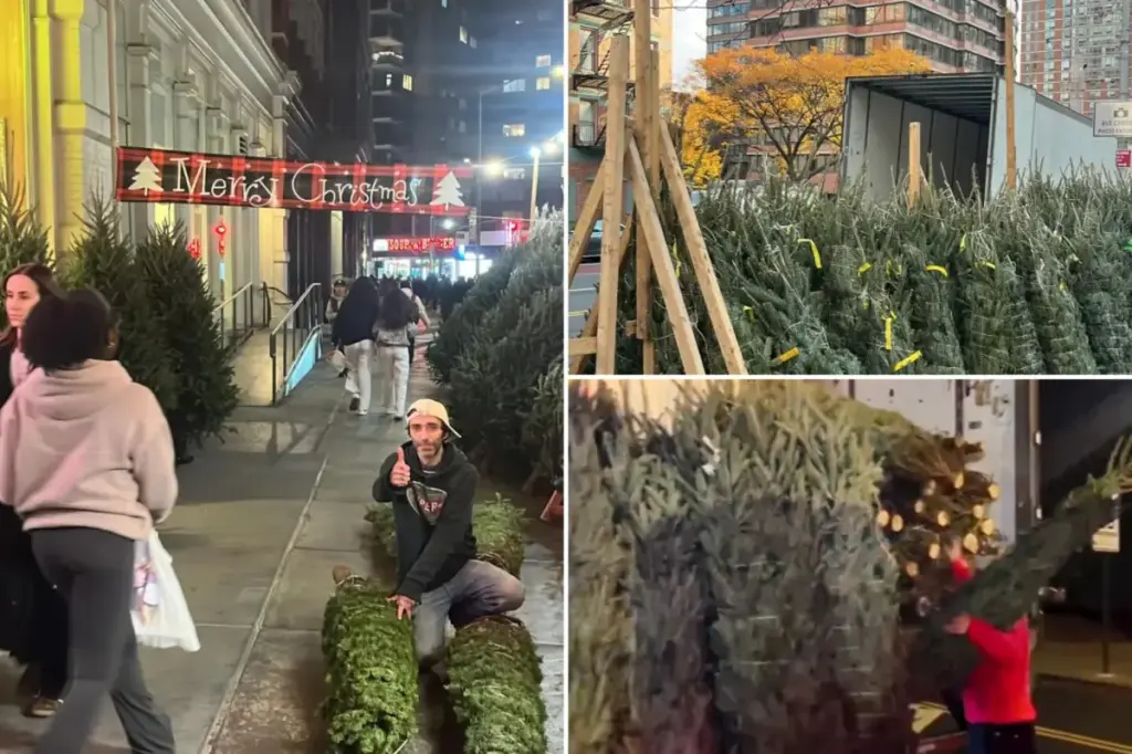 &lsquo;Christmas Tree Law&rsquo; prohibits sidewalk sales in NYC before a certain date, yet early sales continue to thrive